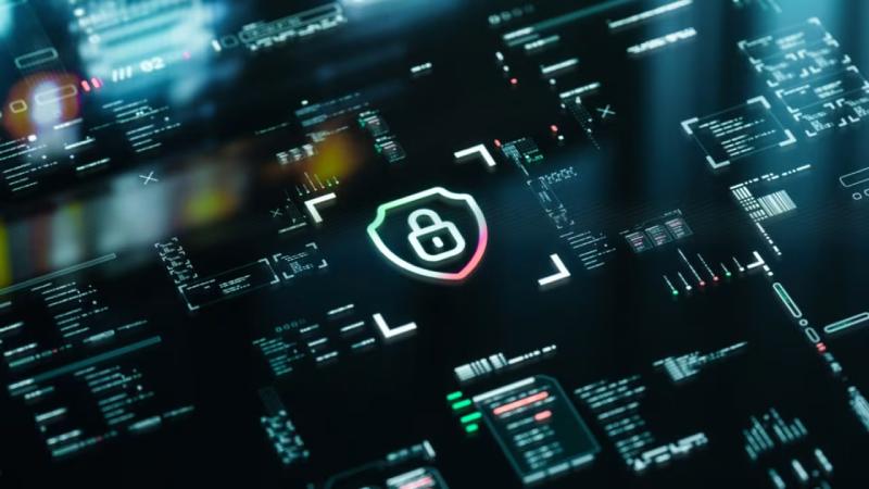 金牛区软件开发公司