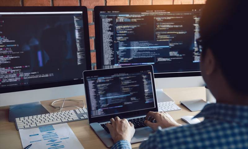 数据科学选型：R与Python如何赋能金牛区网站建设？